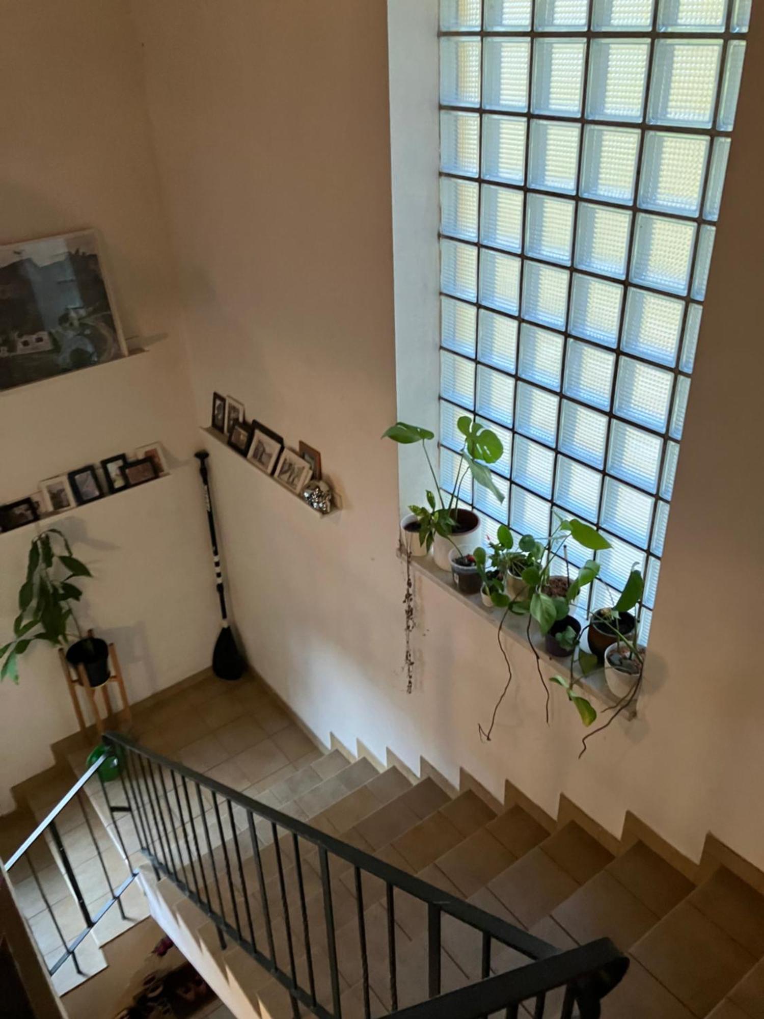 Apartment Am Ponyhof Sankt Kanzian am Klopeiner See المظهر الخارجي الصورة